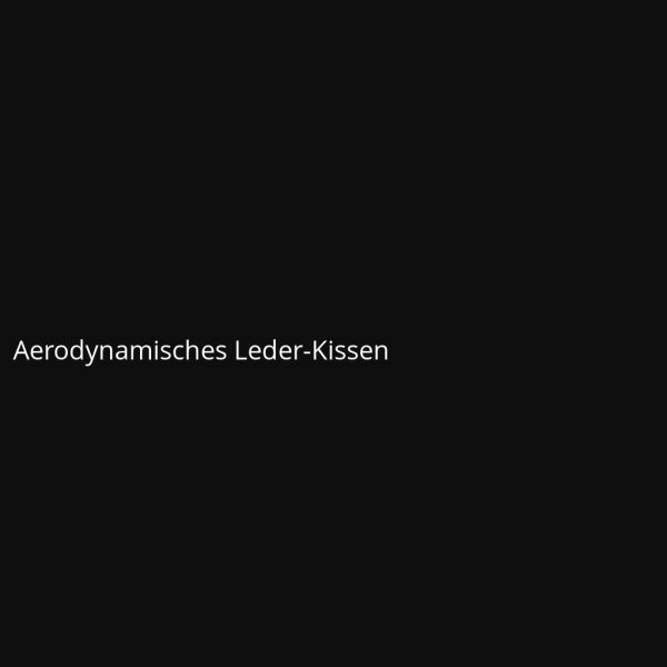 Aerodynamisches Leder-Kissen